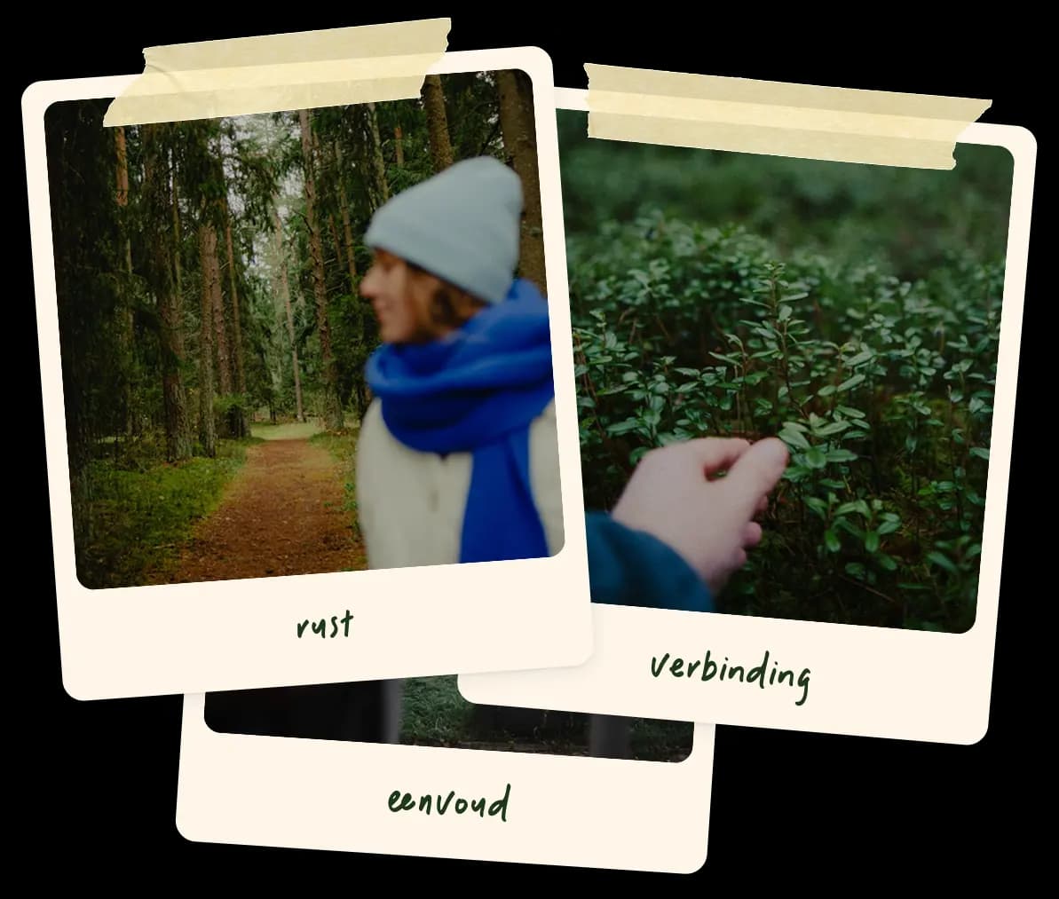 Rustig moment in de natuur dat de missie van Vertraegh verbeeldt